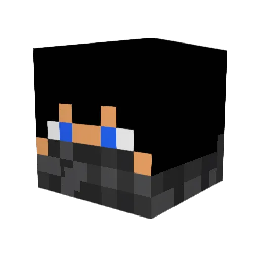 CH8_ Minecraft avatar head, 3D render