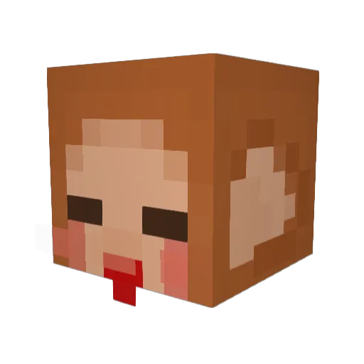 CHAEMSS Minecraft avatar head, 3D render