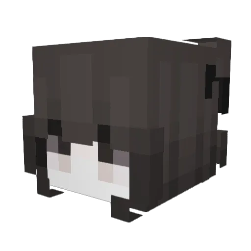 CHAEWON65 Minecraft avatar head, 3D render