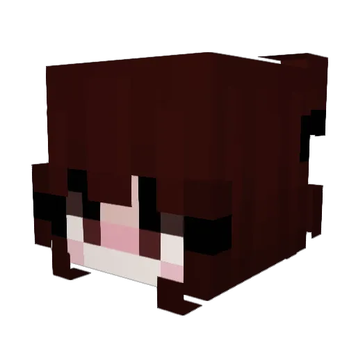 CHAOSRAP19 Minecraft avatar head, 3D render