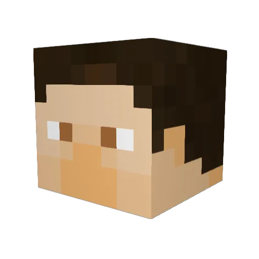 CHAPTER8 Minecraft avatar head, 3D render
