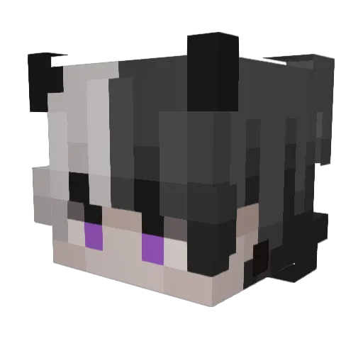 CHArmyyyyyy Minecraft avatar head, 3D render