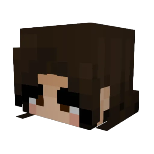 CHE4PSH0T Minecraft avatar head, 3D render