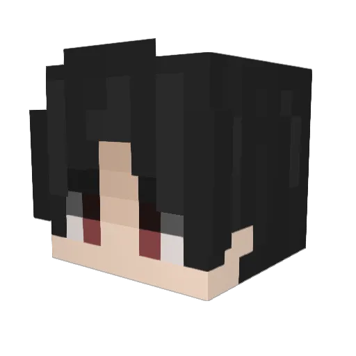 CHECK_DARWIN Minecraft avatar head, 3D render