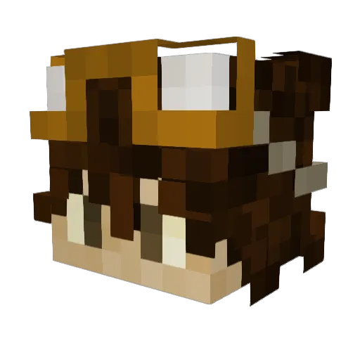 CHEESEBURGER4911 Minecraft avatar head, 3D render