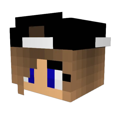 CHENG_09 Minecraft avatar head, 3D render