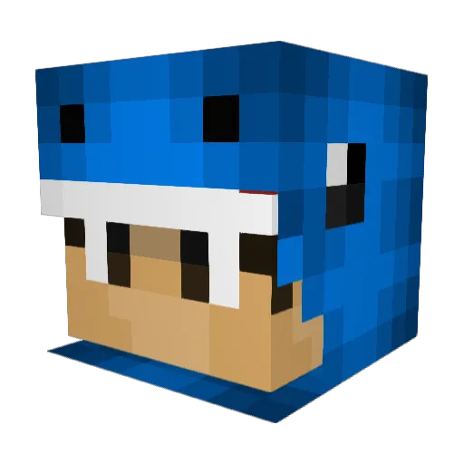 CHEWRY Minecraft avatar head, 3D render