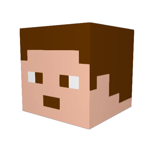 CHICKENNOODELS Minecraft avatar head, 3D render