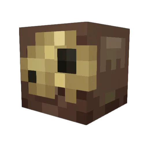 CHICKIBOI580 Minecraft avatar head, 3D render