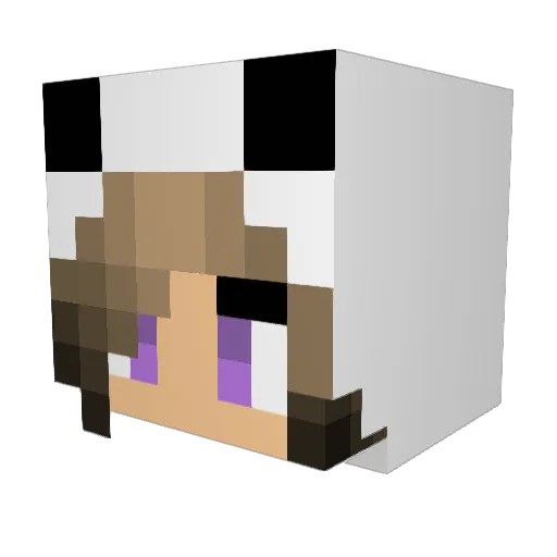 CHOCLATOE Minecraft avatar head, 3D render
