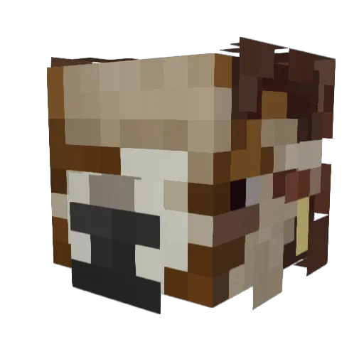 CHOMPDOWNTREE Minecraft avatar head, 3D render