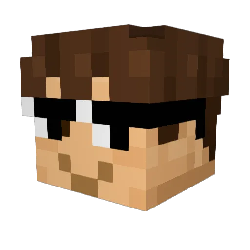 CHOYITOS3 Minecraft avatar head, 3D render
