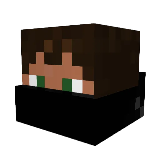 CHSD2013 Minecraft avatar head, 3D render