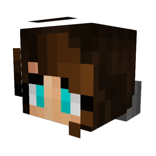 CHUCKtheFARMER19 Minecraft avatar head, 3D render