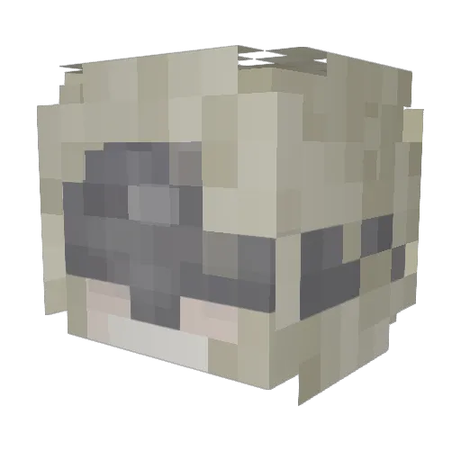 CHXSEAtl Minecraft avatar head, 3D render