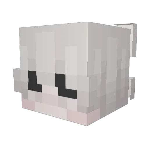 CHeezBud Minecraft avatar head, 3D render
