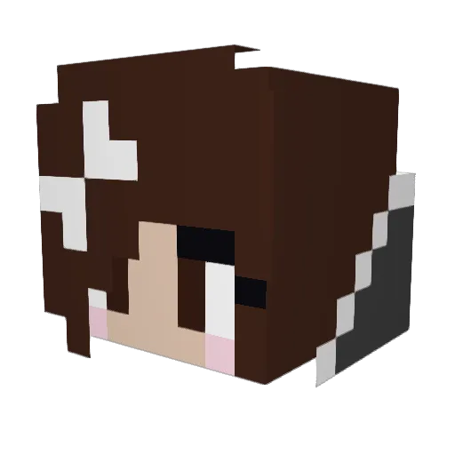CIApigeon Minecraft avatar head, 3D render