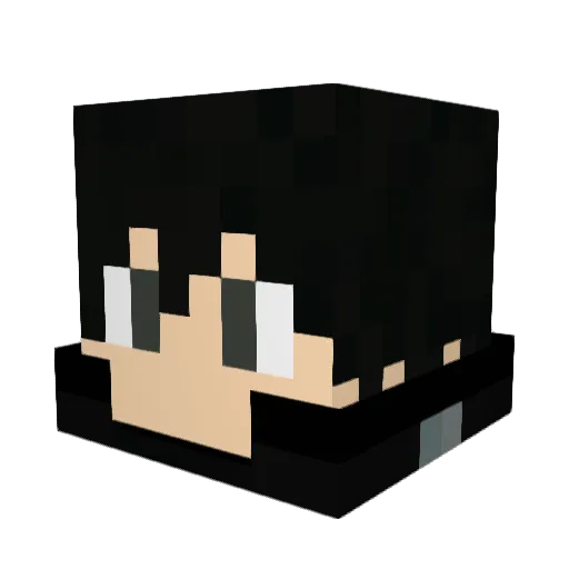 CIDHWD Minecraft avatar head, 3D render