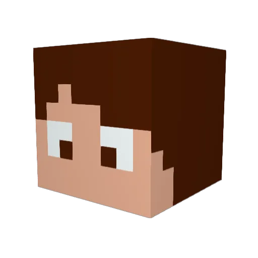 CIELS28 Minecraft avatar head, 3D render