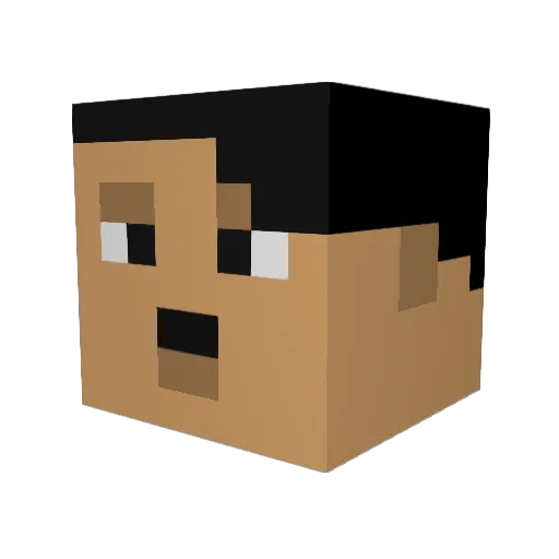 CIFER24 Minecraft avatar head, 3D render