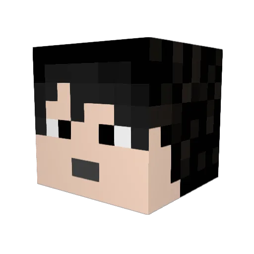 CIM_NotYours Minecraft avatar head, 3D render