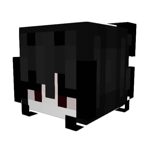 CIRE313 Minecraft avatar head, 3D render