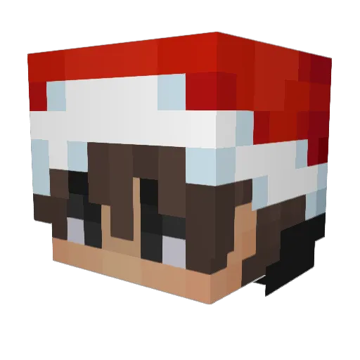 CJ11ST Minecraft avatar head, 3D render