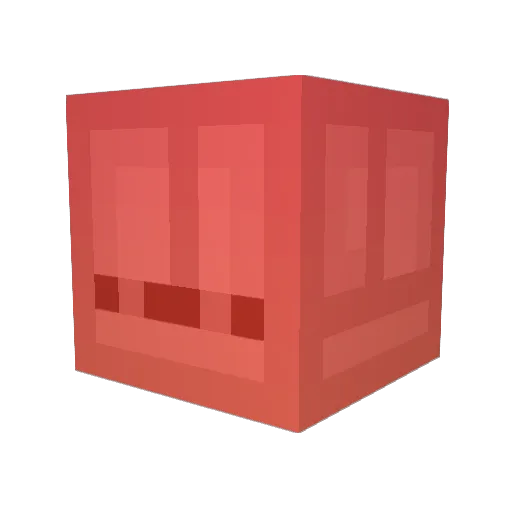 CJHS06 Minecraft avatar head, 3D render