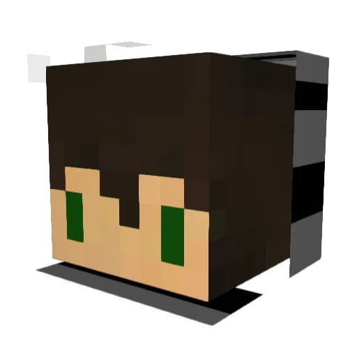 CJMP Minecraft avatar head, 3D render