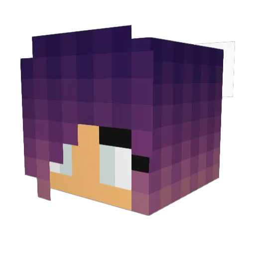 CJSUNDAY2004 Minecraft avatar head, 3D render