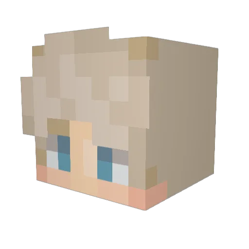 CJT19 Minecraft avatar head, 3D render