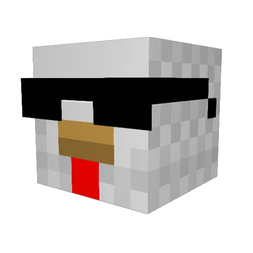 CJW2004 Minecraft avatar head, 3D render