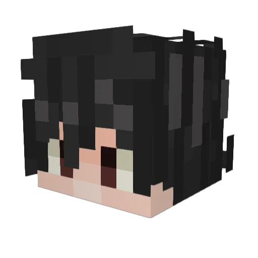 CJYStealth Minecraft avatar head, 3D render