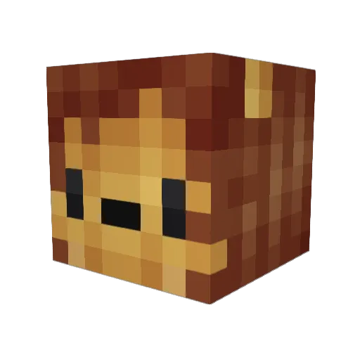 CJ_9 Minecraft avatar head, 3D render