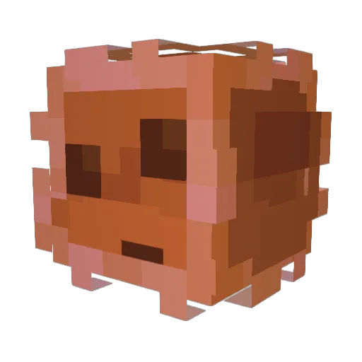 CJ_The_King01 Minecraft avatar head, 3D render