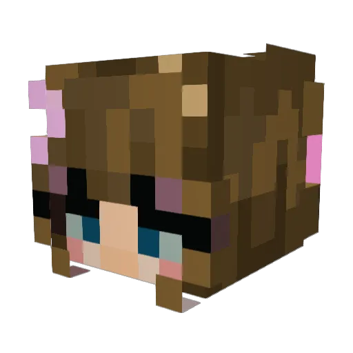 CKBomber17 Minecraft avatar head, 3D render