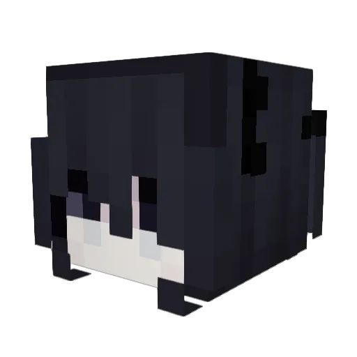 CKCARSONS Minecraft avatar head, 3D render