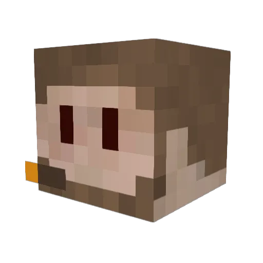 CKtD Minecraft avatar head, 3D render