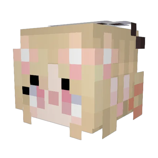CLARATION Minecraft avatar head, 3D render
