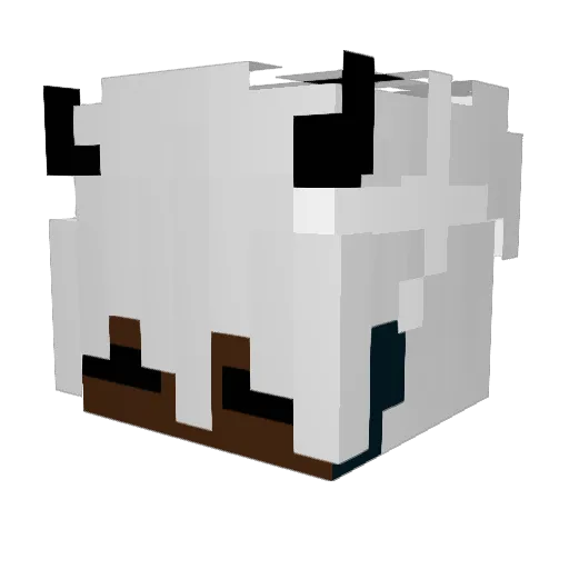 CLE4NED Minecraft avatar head, 3D render