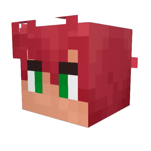 CLRegan16 Minecraft avatar head, 3D render