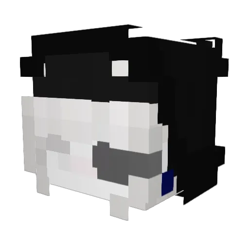 CLYaj Minecraft avatar head, 3D render
