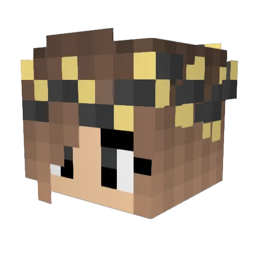CMG25 Minecraft avatar head, 3D render