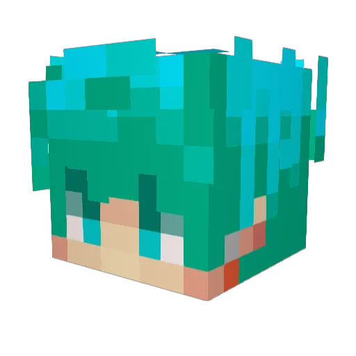 CMGCraft Minecraft avatar head, 3D render