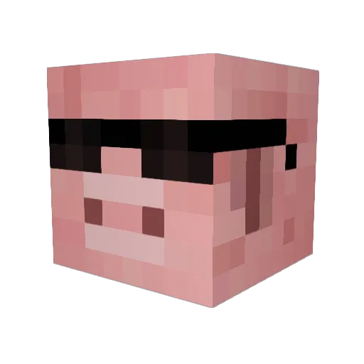 CMGaming12 Minecraft avatar head, 3D render