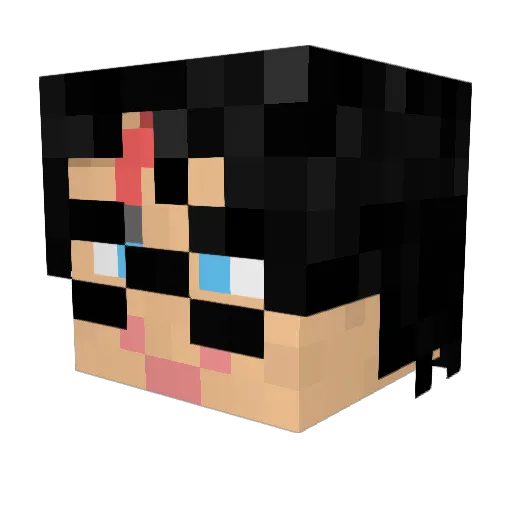CMTE11 Minecraft avatar head, 3D render