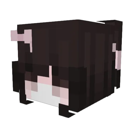 CNDSA Minecraft avatar head, 3D render