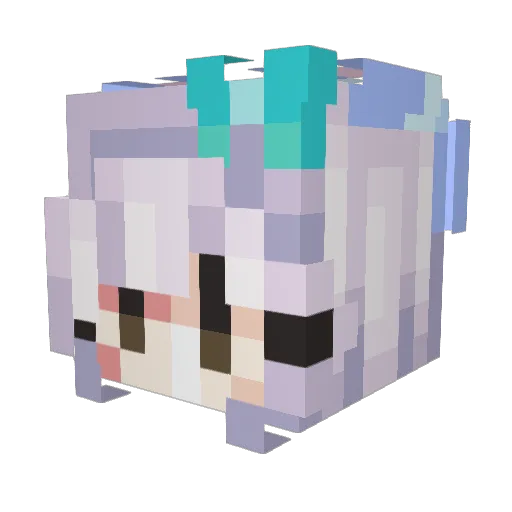 CNL_2020 Minecraft avatar head, 3D render