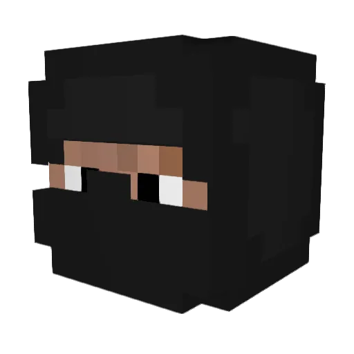 CNNNinja8 Minecraft avatar head, 3D render