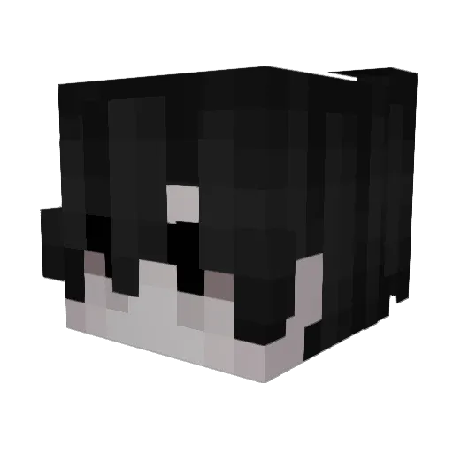 CNR53GOATED Minecraft avatar head, 3D render